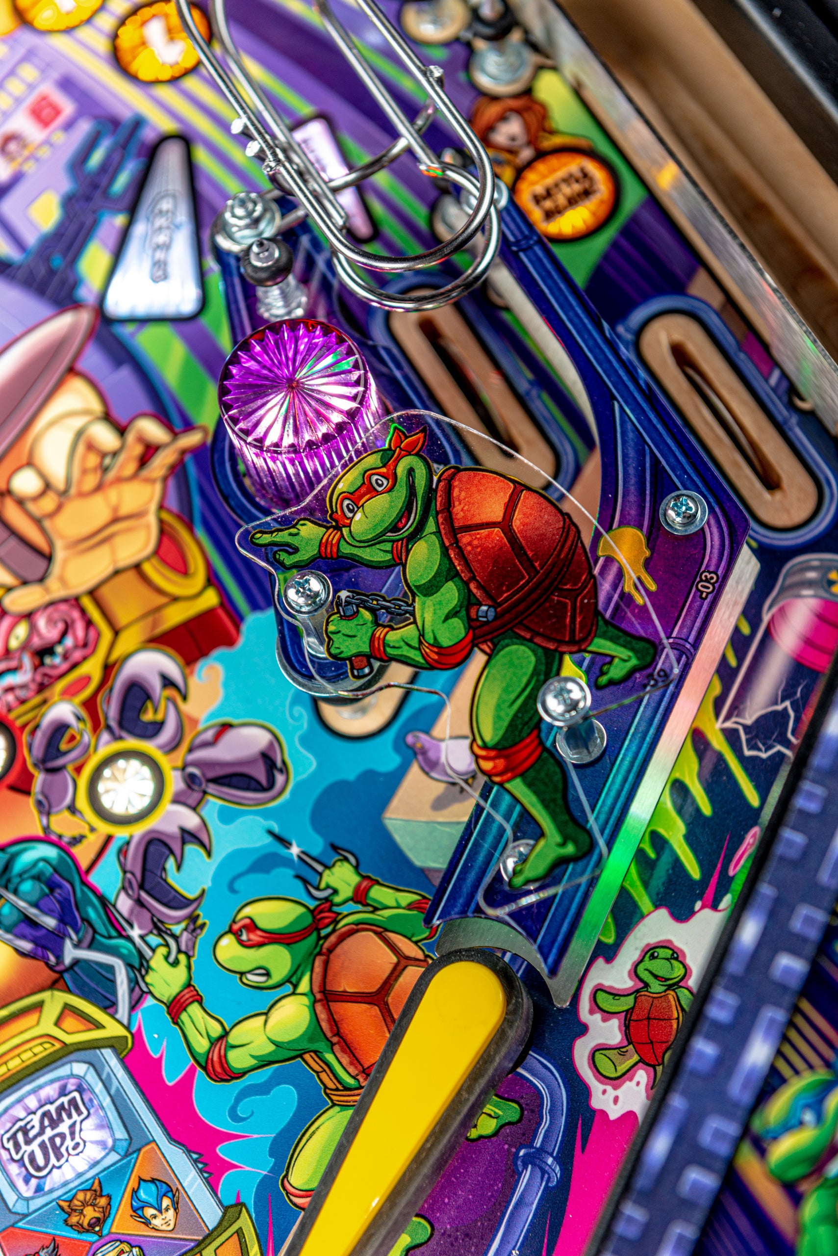 Teenage Mutant Ninja Turtles Premium
