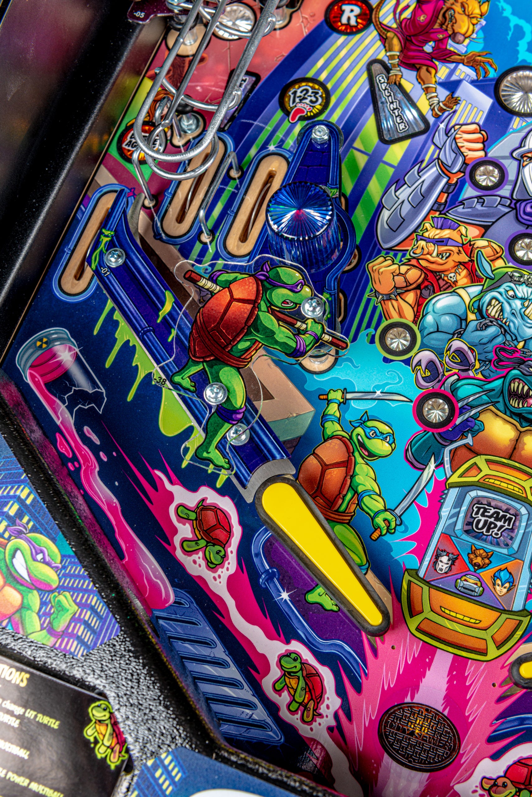 Teenage Mutant Ninja Turtles Pro