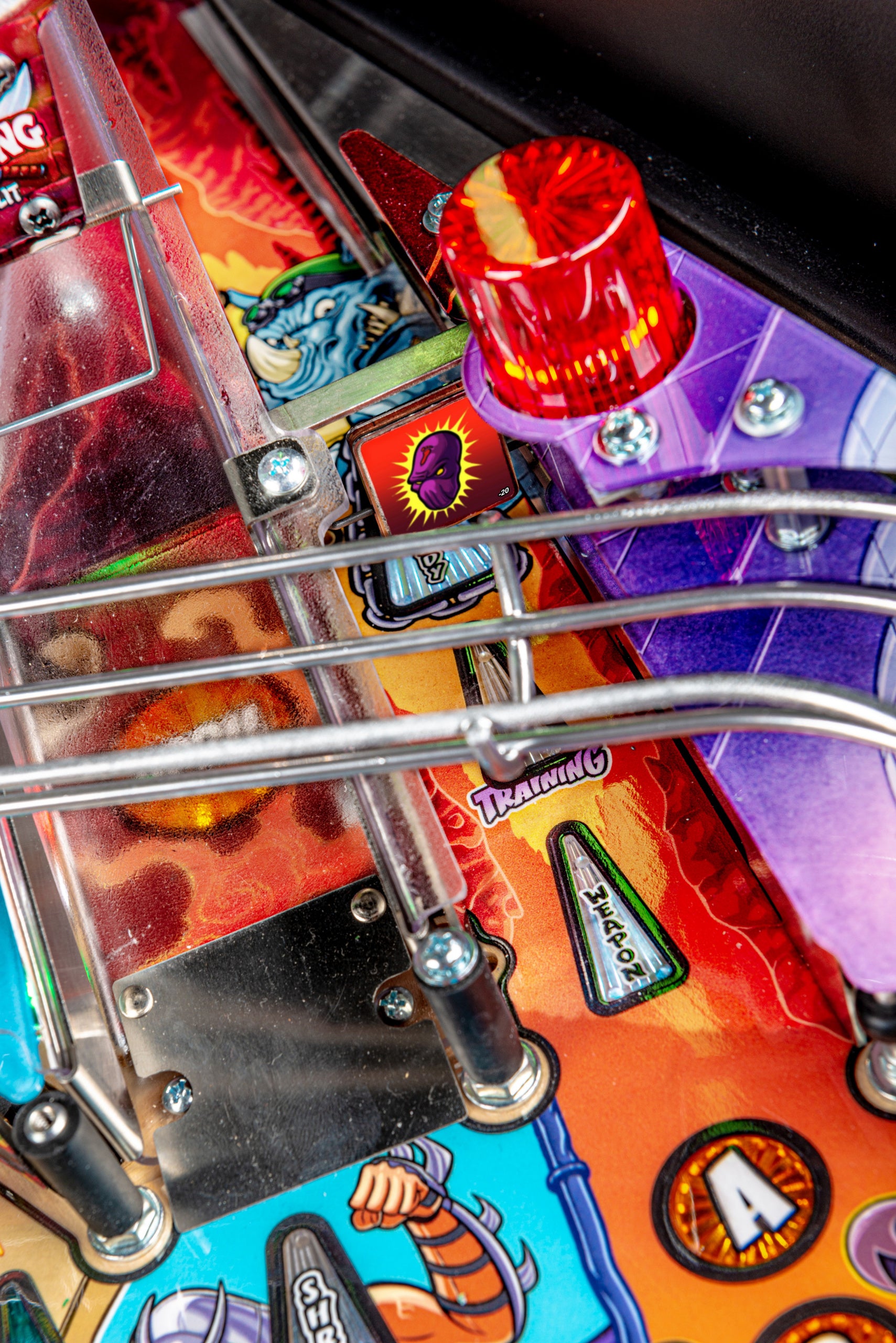 Teenage Mutant Ninja Turtles Pro