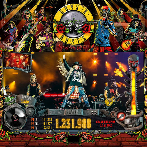 Guns N' Roses Standard Edition