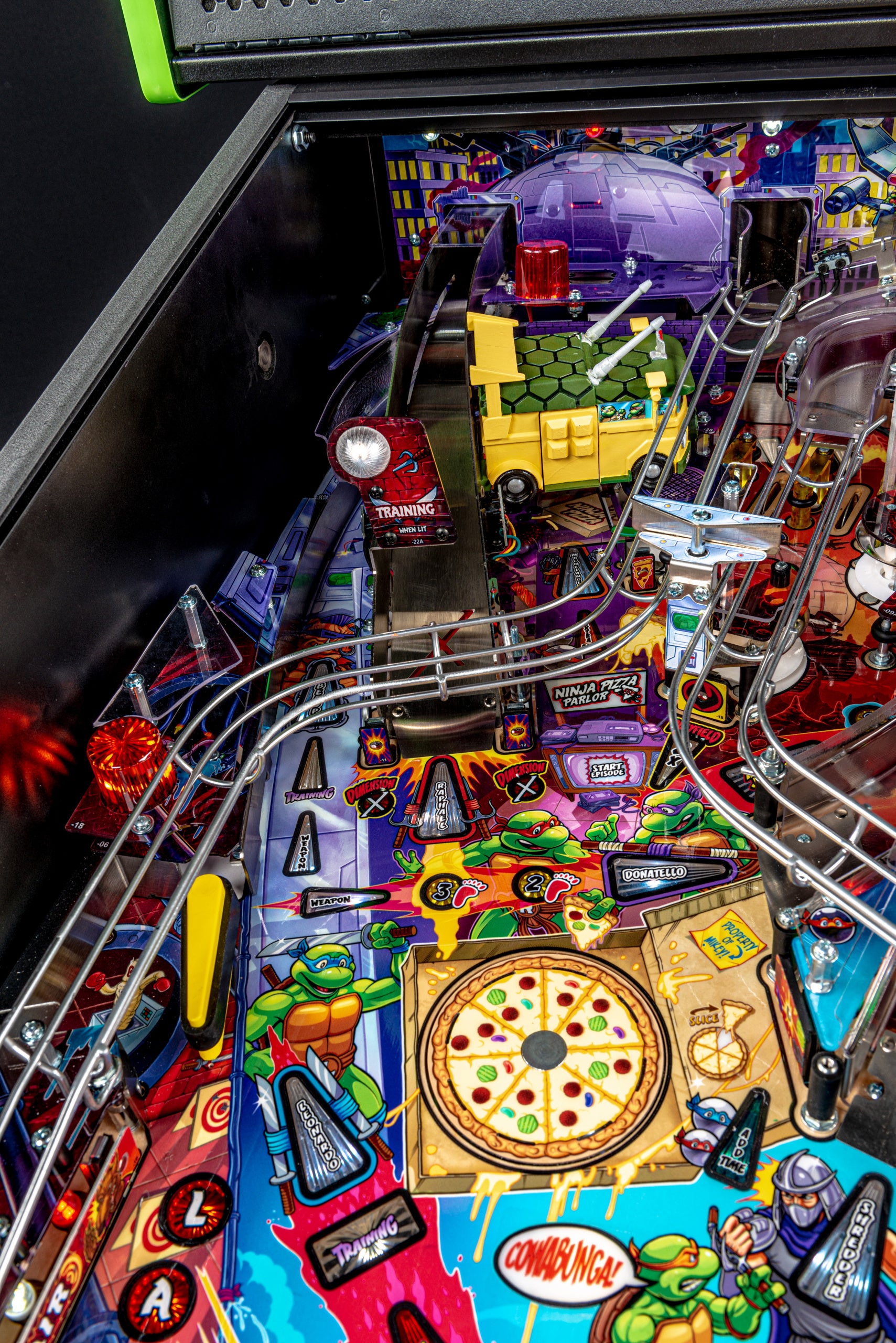 Teenage Mutant Ninja Turtles Pro